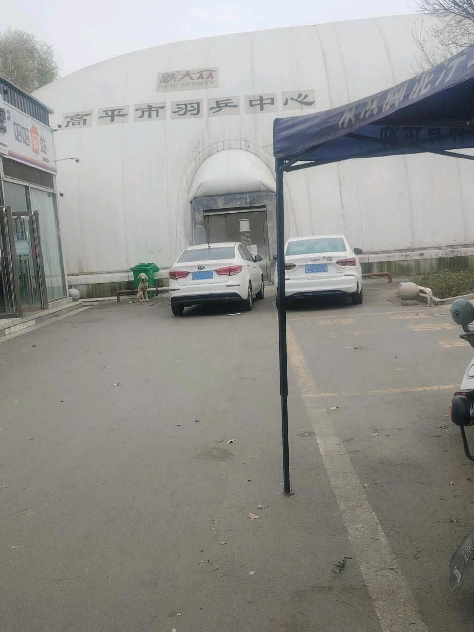 高平市羽乒中心