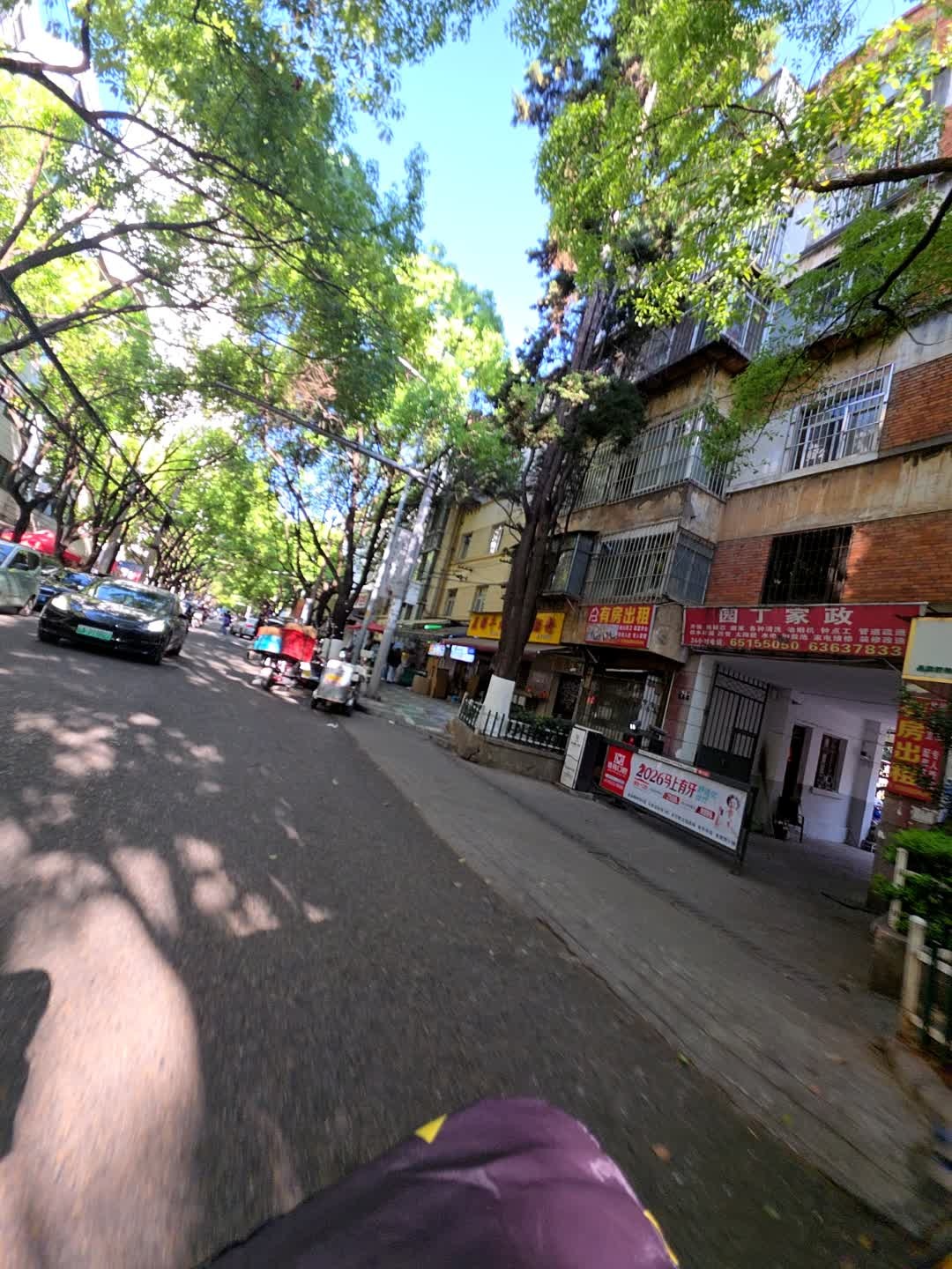 园丁家政