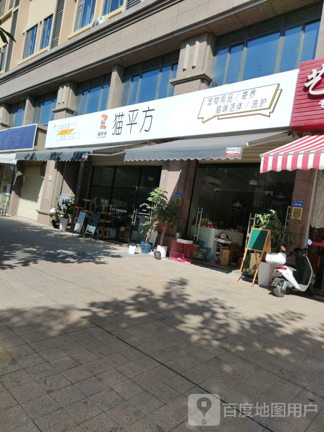 猫平方宠物店