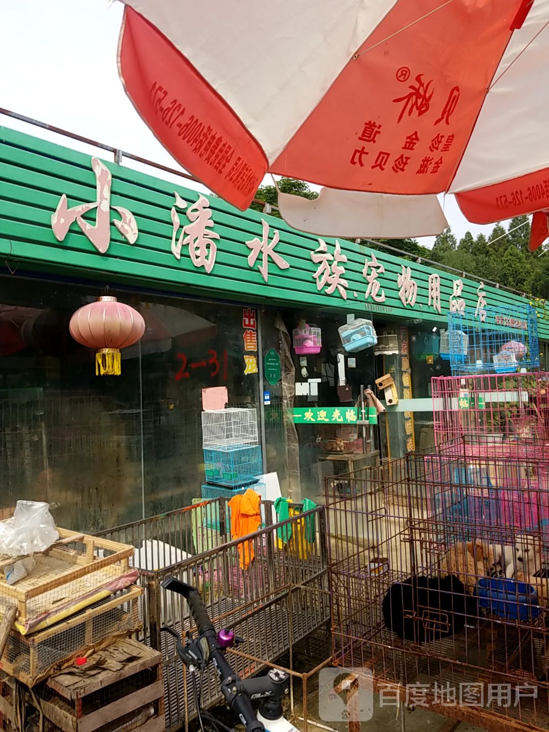 小潘水族,宠物,用品店