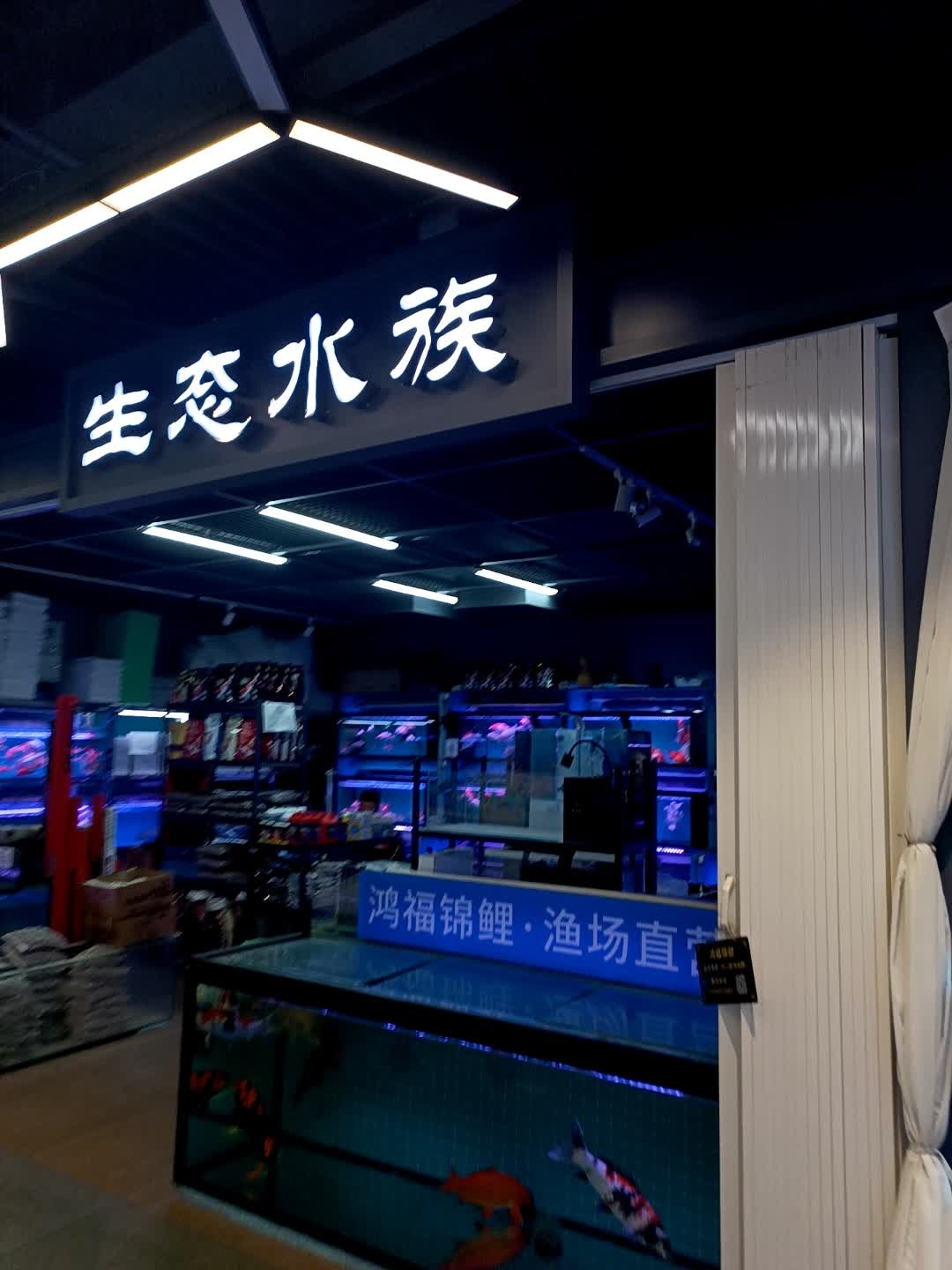 生态水族(二道区中东大市场店)