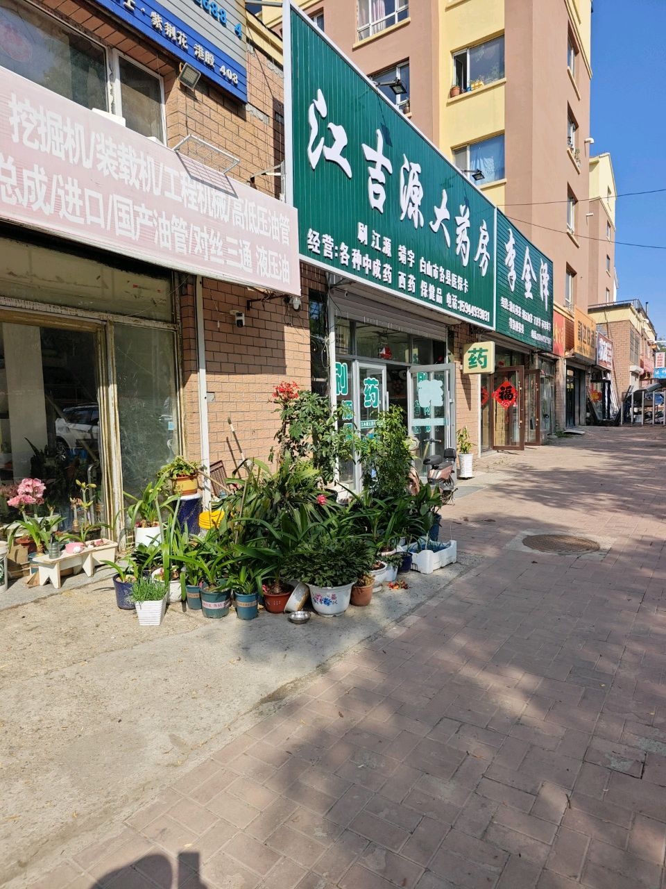 李金泽蒲公英茶