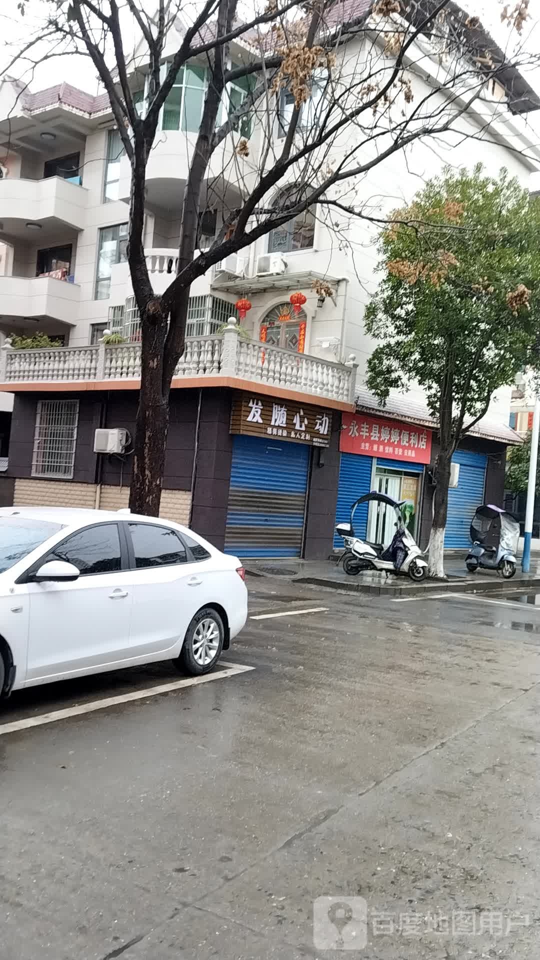 发随心动