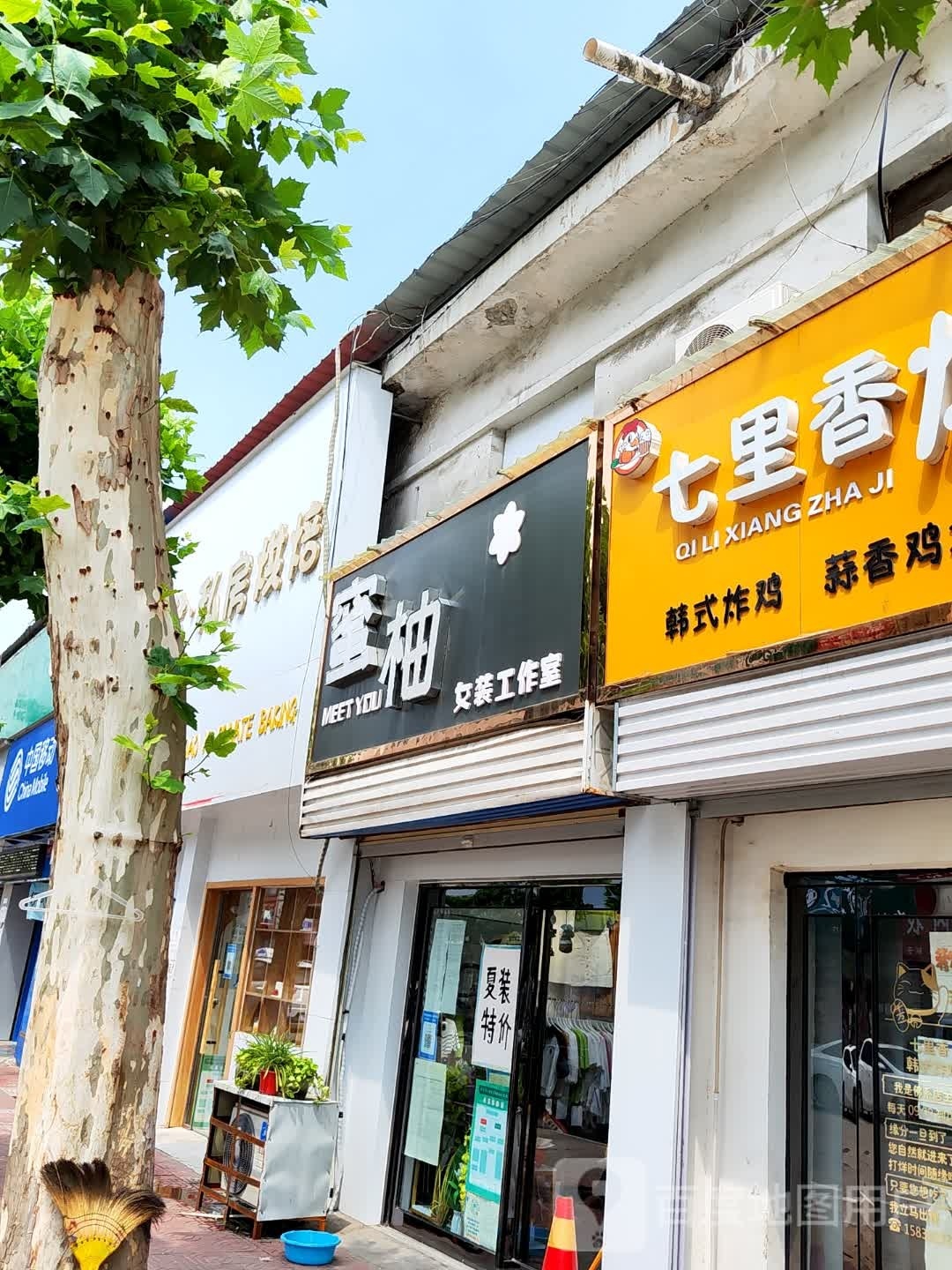 新密市蜜柚