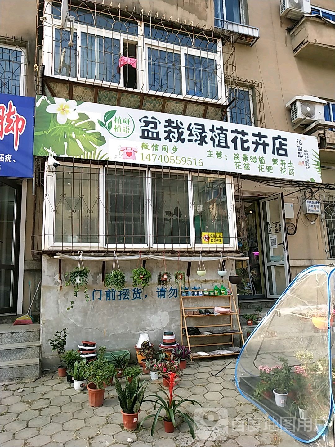 植研植语盆栽绿植花卉店