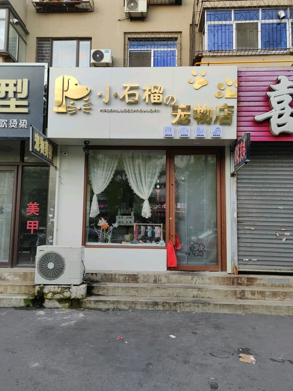 小石榴宠物店