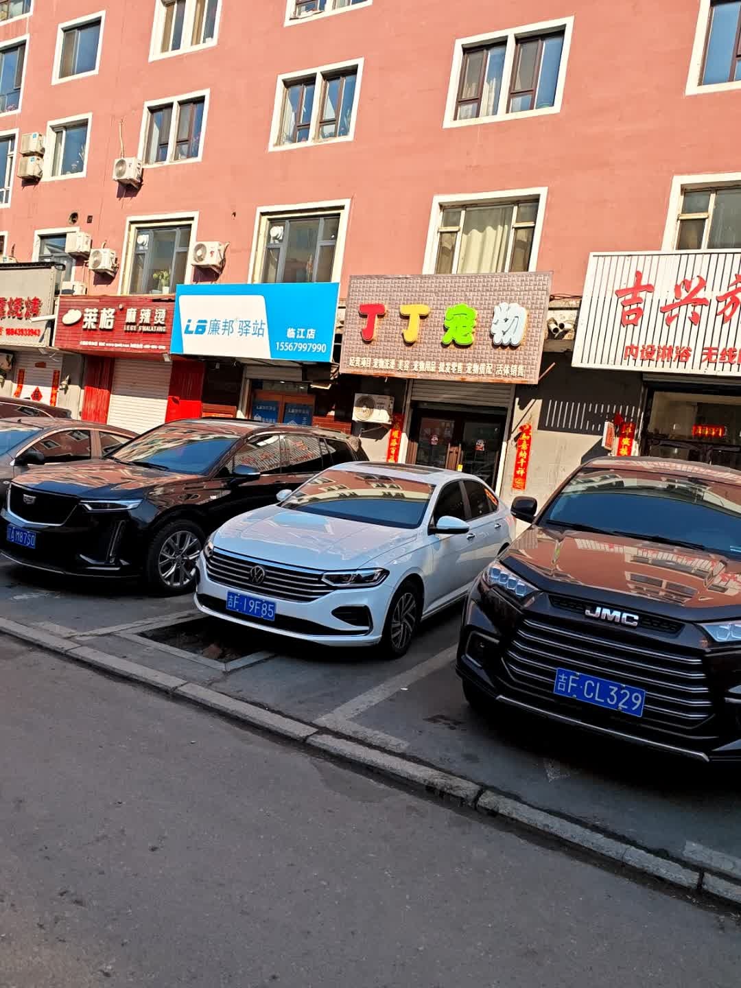 丁丁宠物