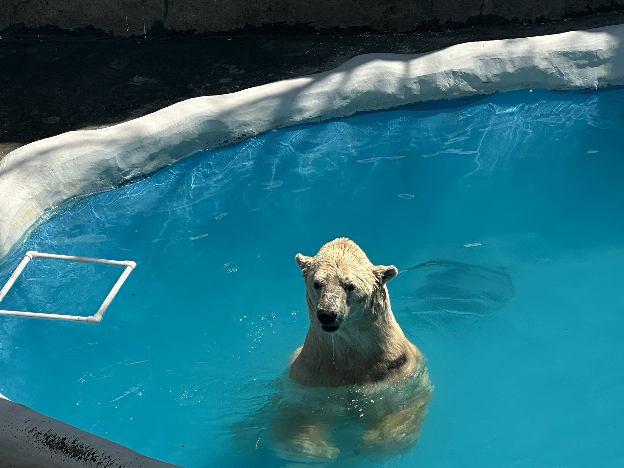 大连森林动物园