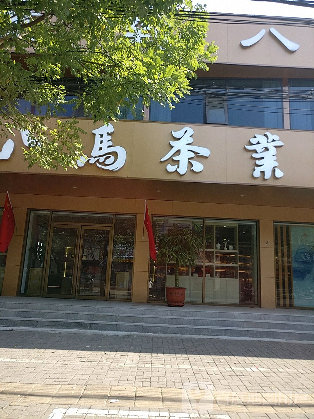 八马茶业(周口旗舰店)