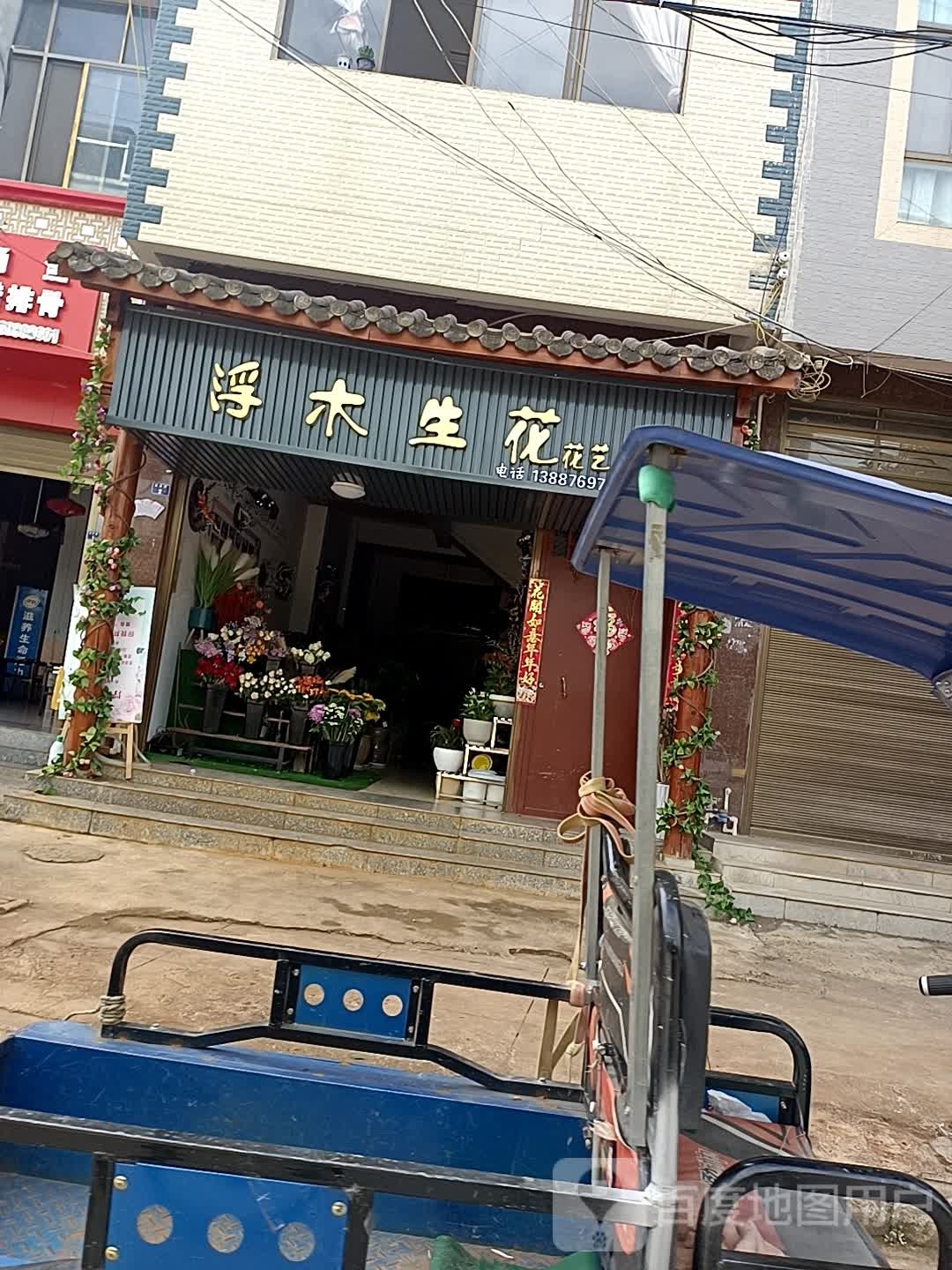 丘北浮木生花卉店