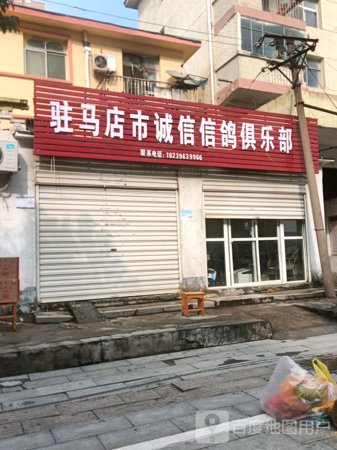 驻马店市城信信鸽俱乐部