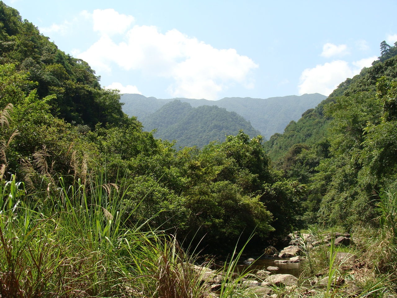 九阜山