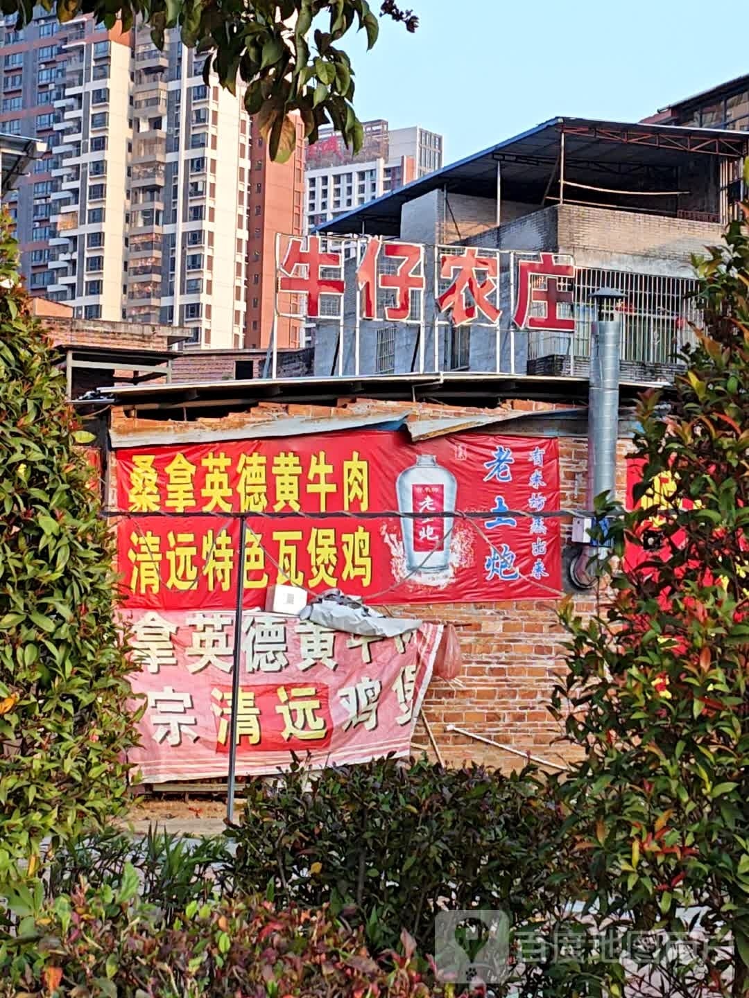 桑拿英德黄牛肉·桑拿鸡