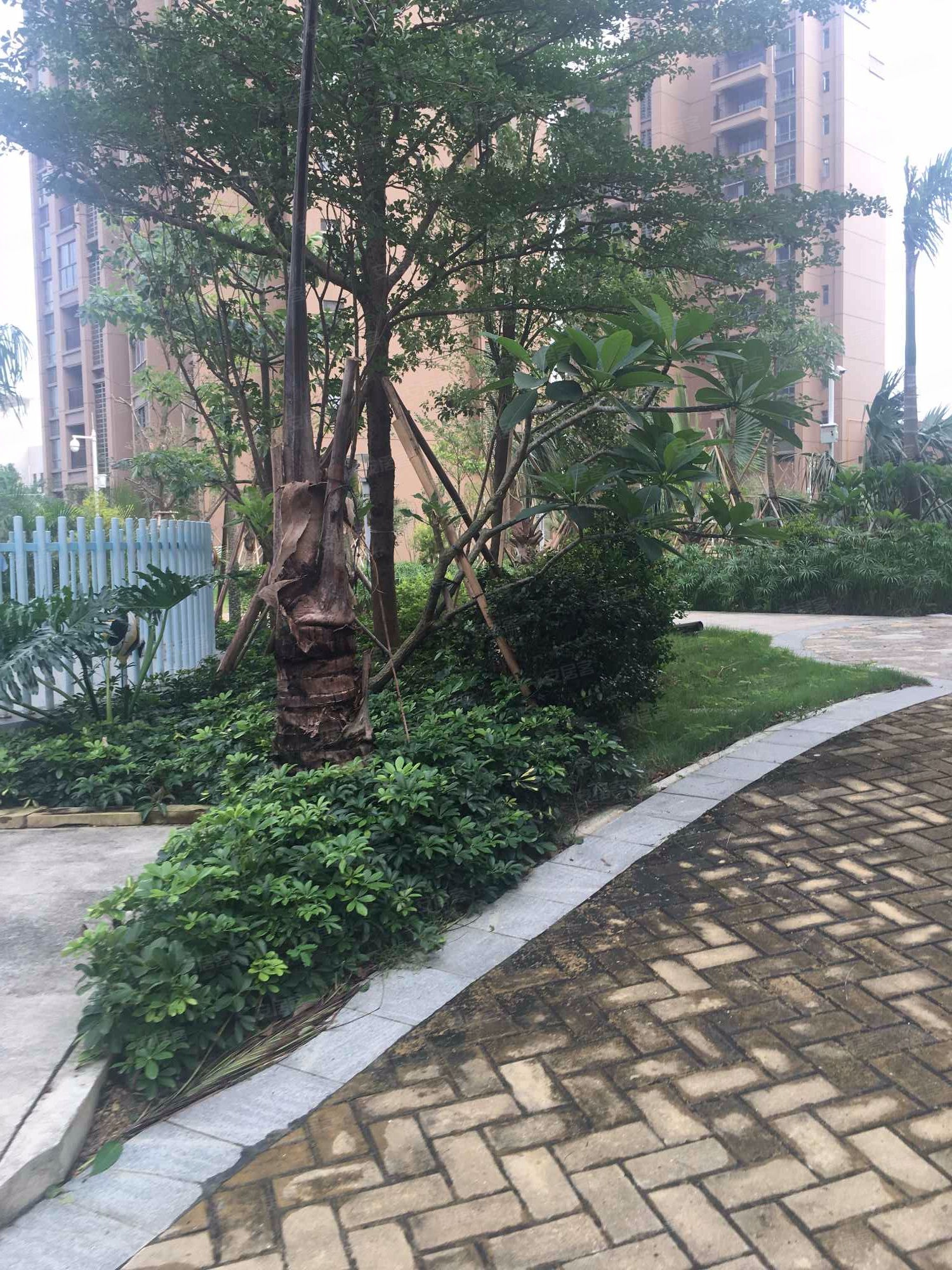 珠海港·海韵-6号楼