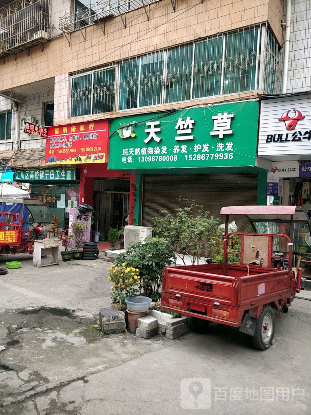 天鹅草(上海路分店)