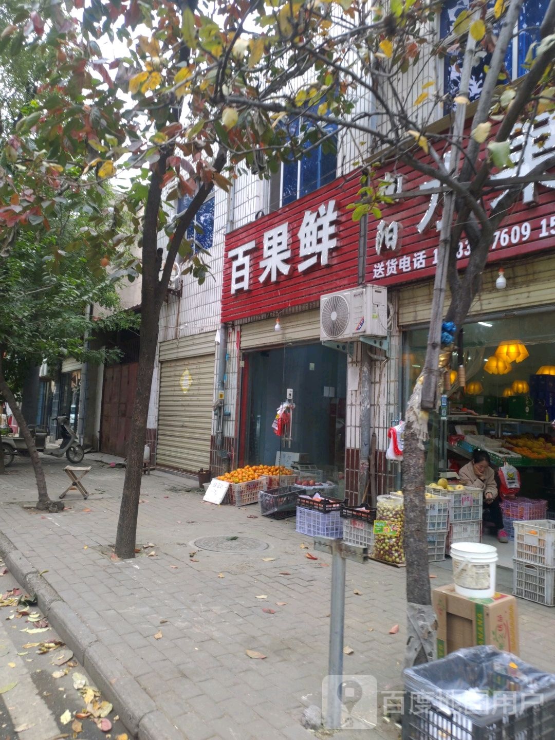 遂平县百果鲜(开元路店)