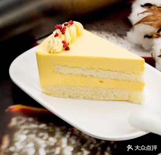 绵薄树上