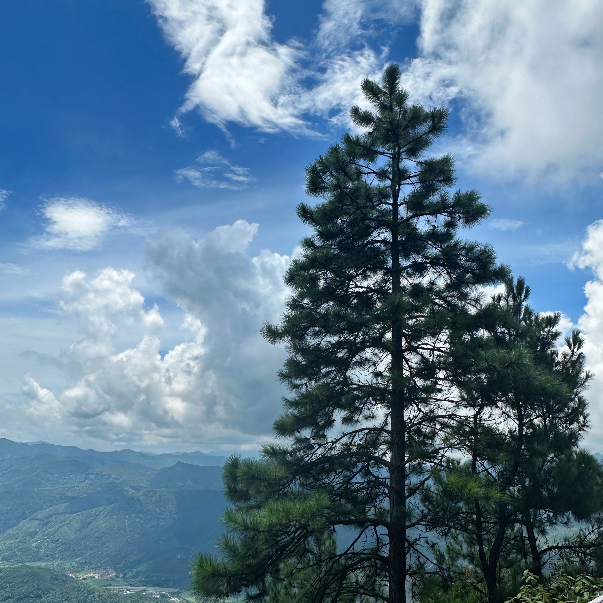 灵通风景区