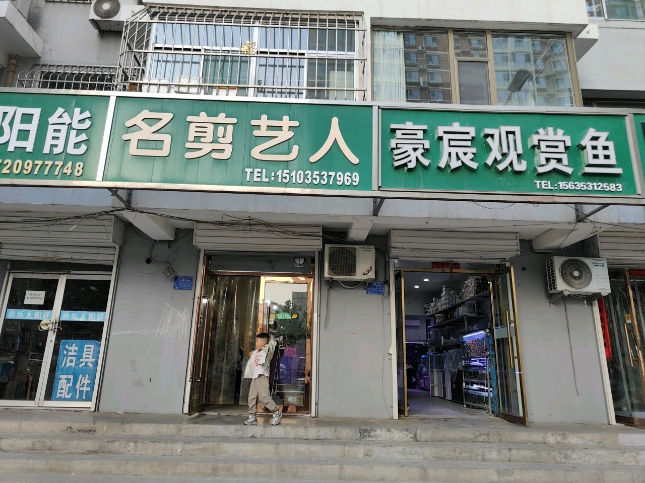豪宸观赏鱼
