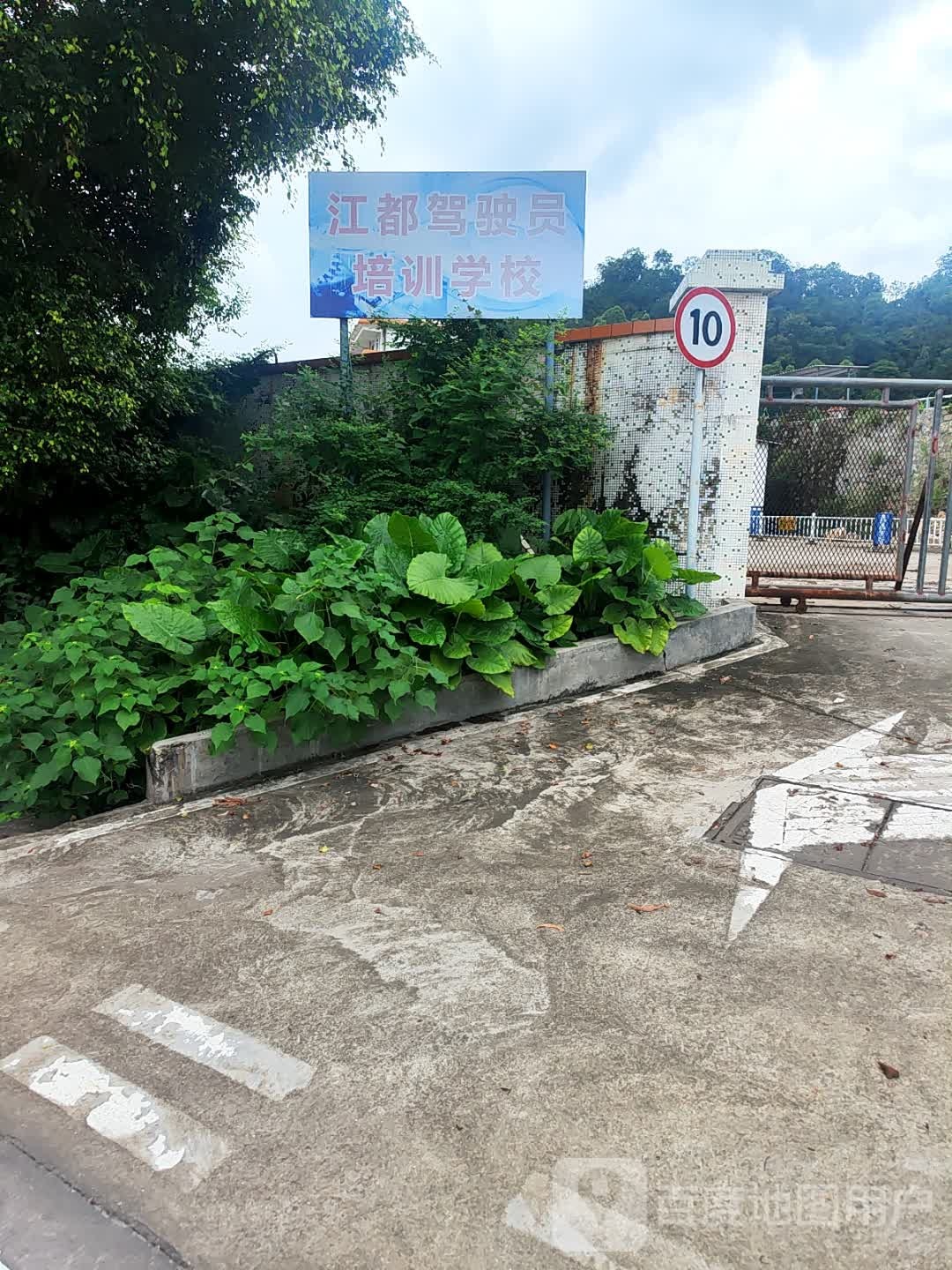 江都驾校
