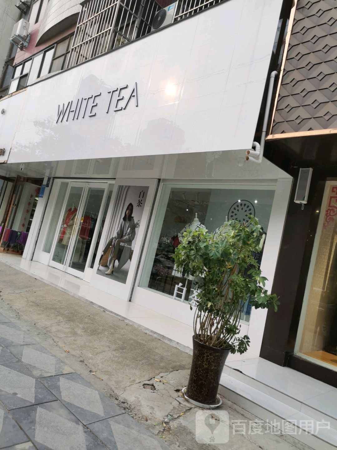 项城市WHITE TEA