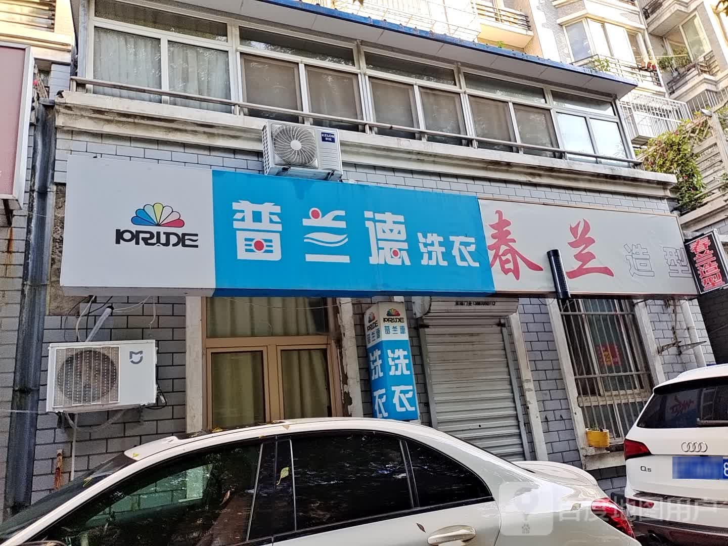 春兰造型