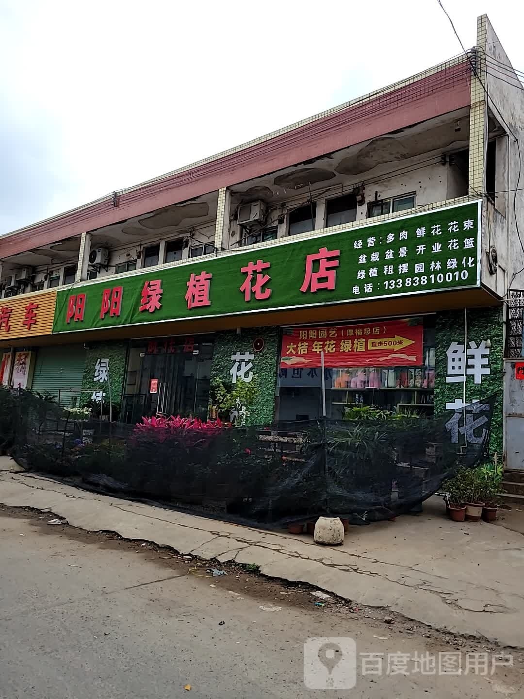 阳阳绿植花店