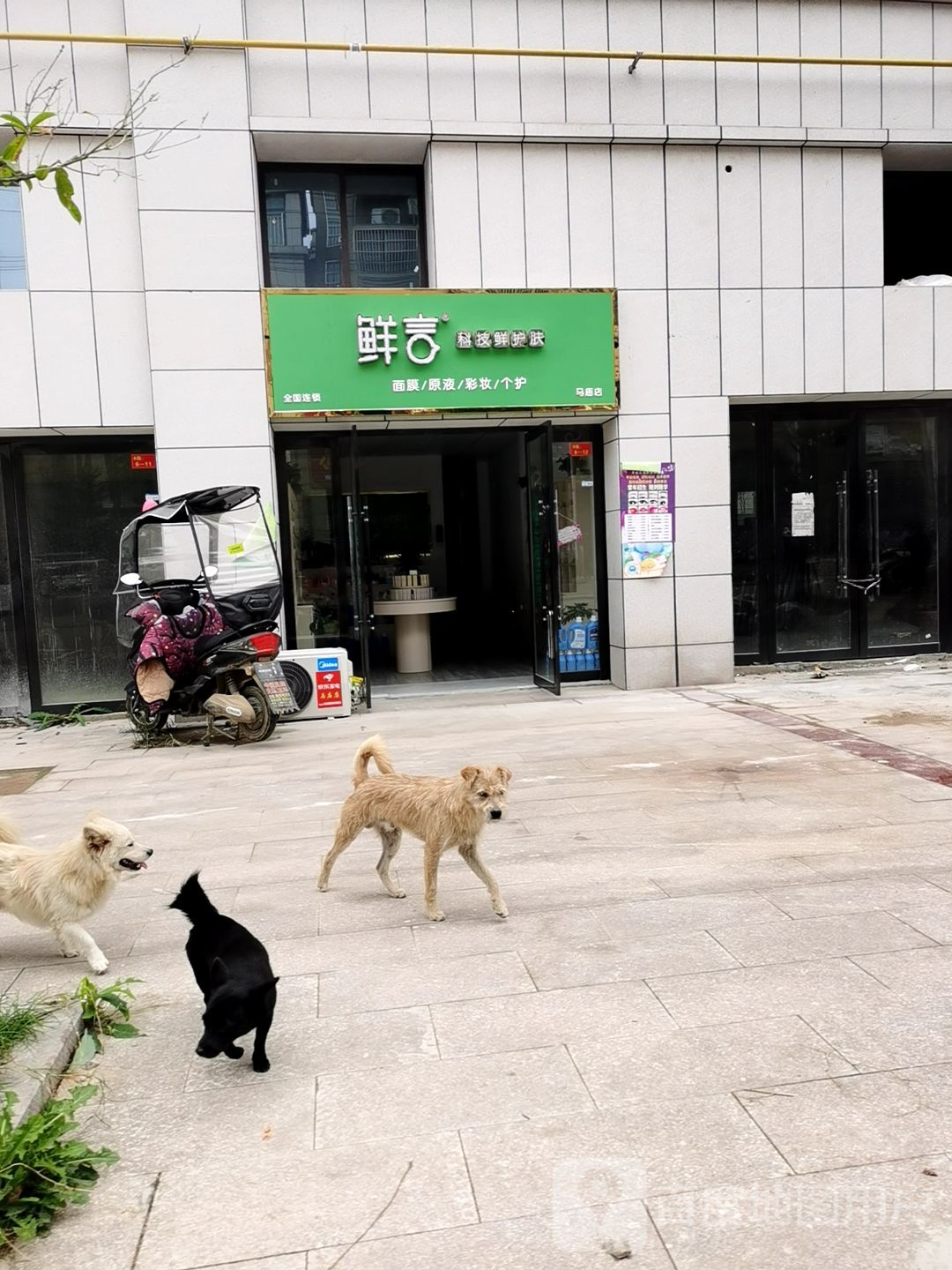 鲜言科技鲜护理(马庙店)