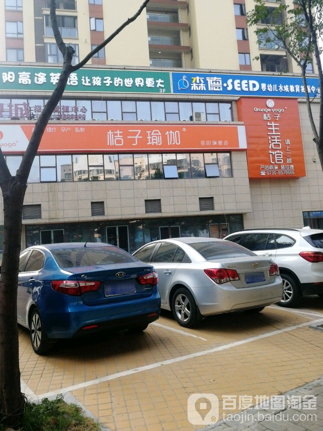 桔子生活馆(岳阳旗舰店)