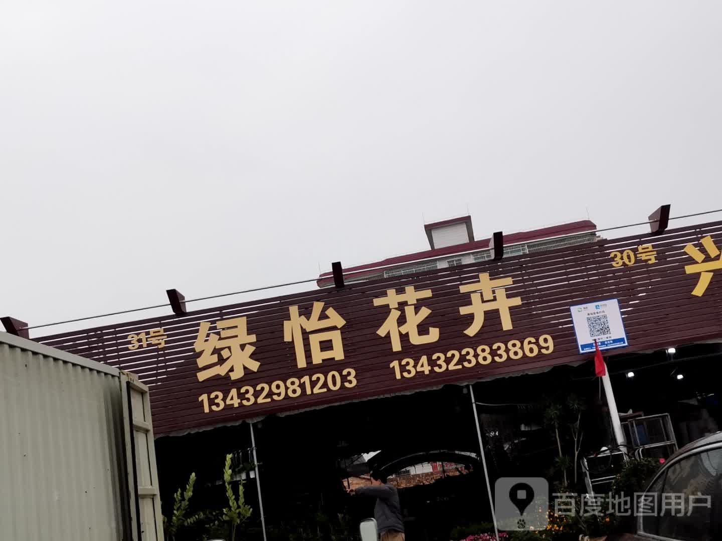 绿怡花卉
