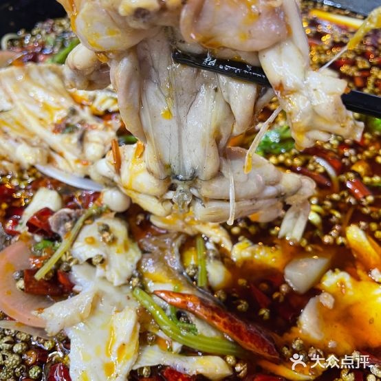 刘二丫麻麻鱼·鱼蛙活过(义乌总店)