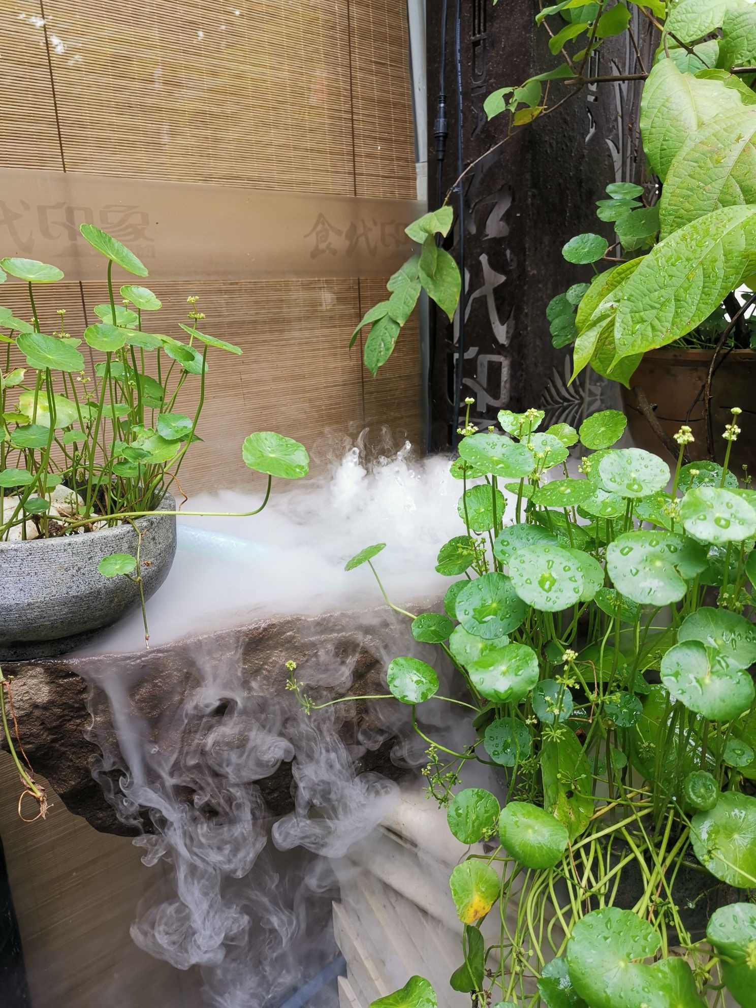 食代印象一品湖南