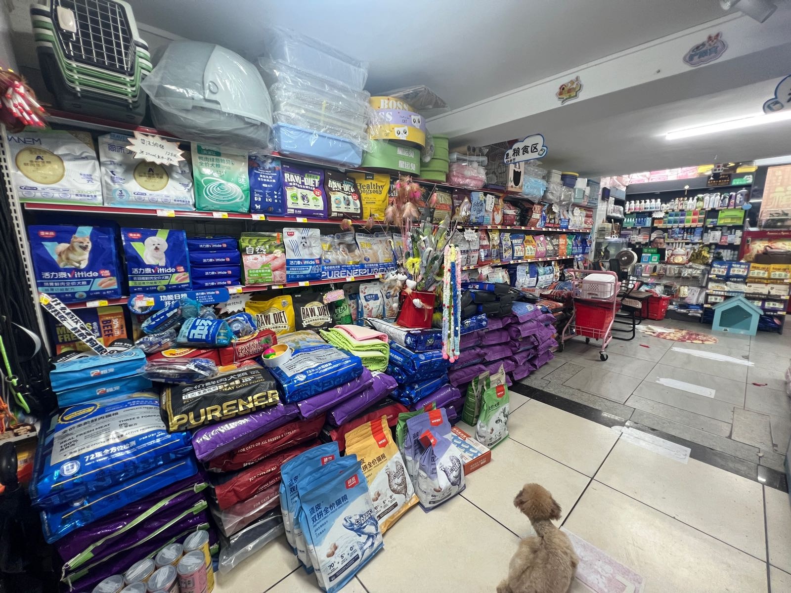 宠爱有家宠物超市(凤凰路店)