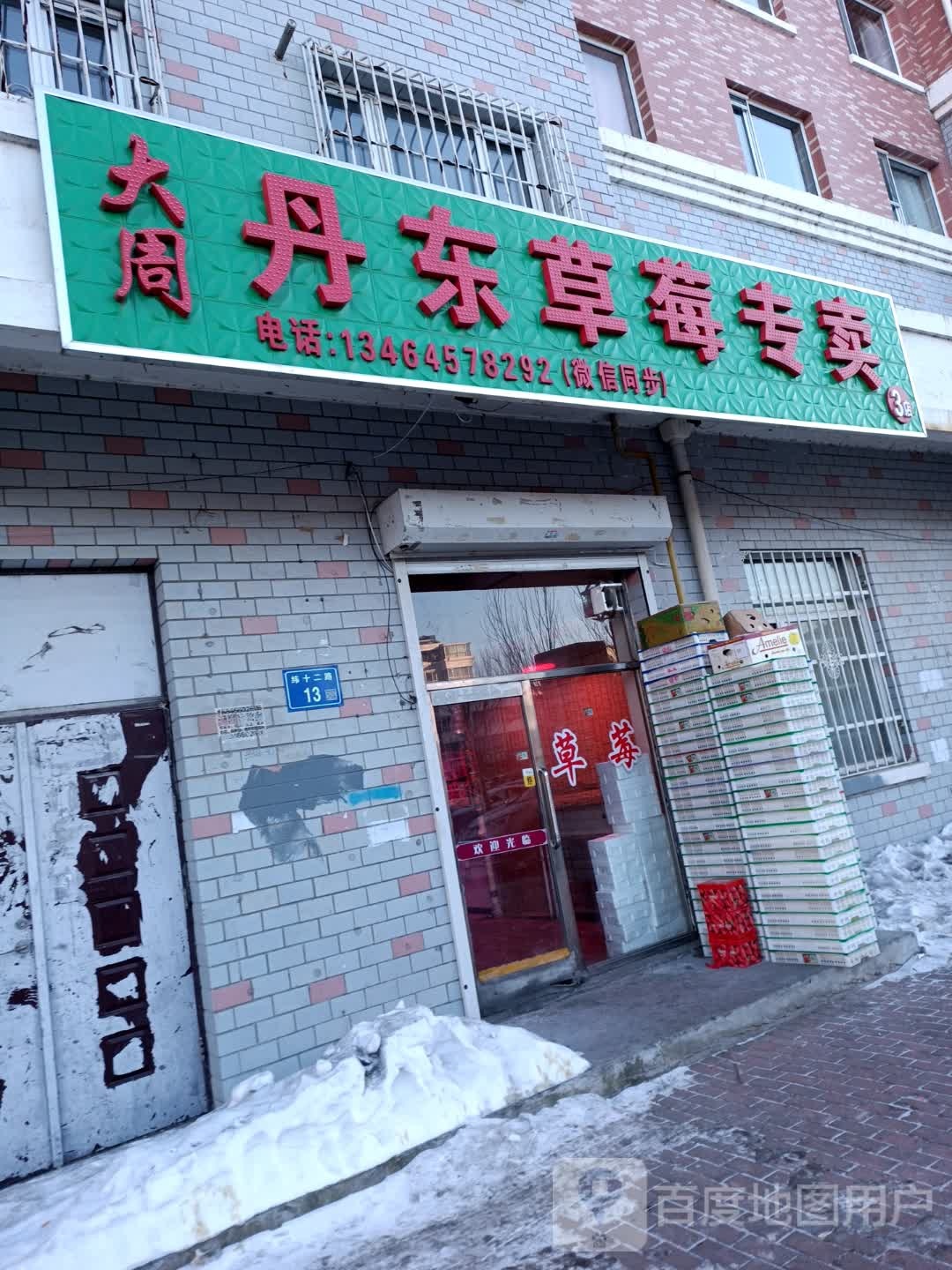 大周丹东草莓专卖店(绿色家园店)