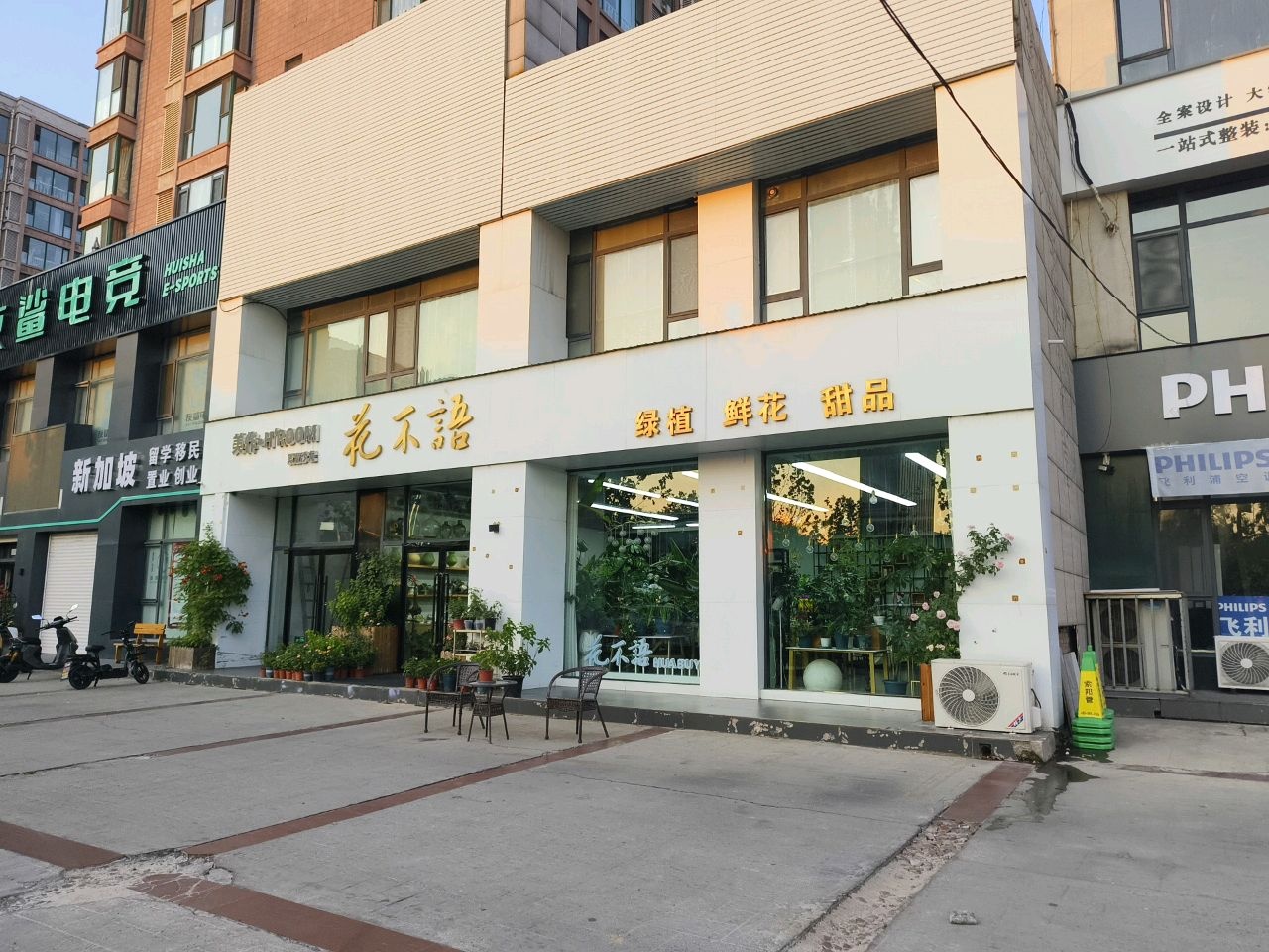 灰鲨电竞