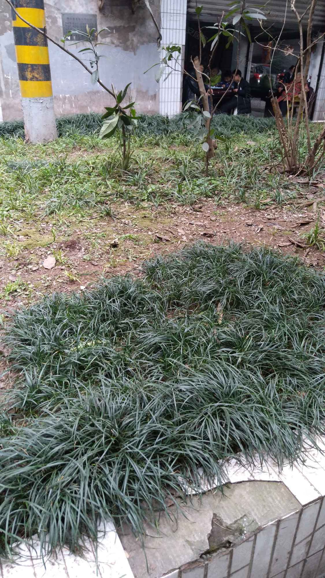 璧山地电局家属院