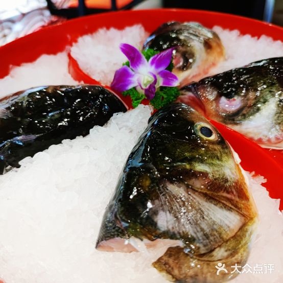 东灶鱼头老火(富力海珠城店)