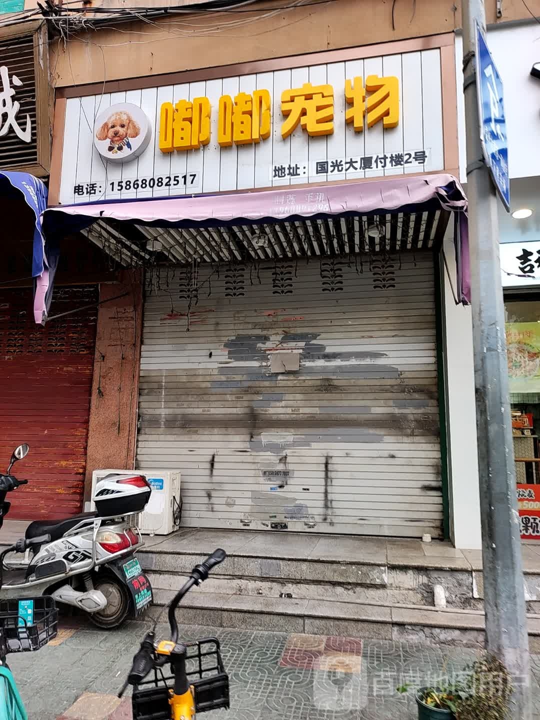 嘟嘟宠物(国光大厦店)