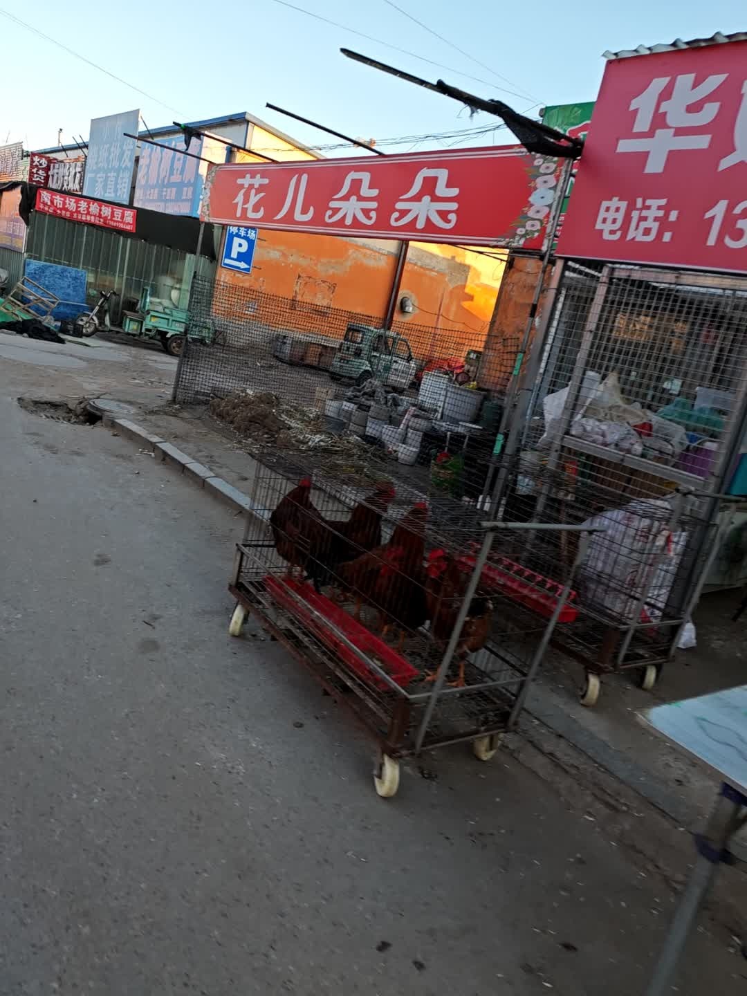 花儿朵朵(东北镇赉商贸城店)