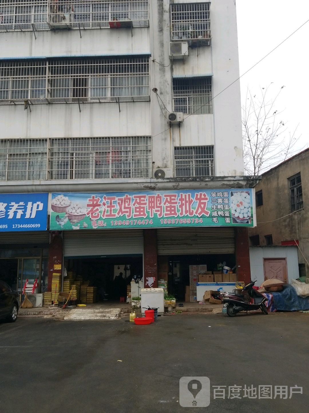 固始县老汪鸡蛋鸭蛋批发