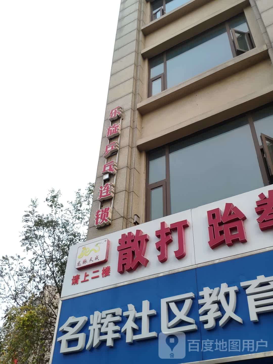 乐旋乒乓球(济南名辉店)