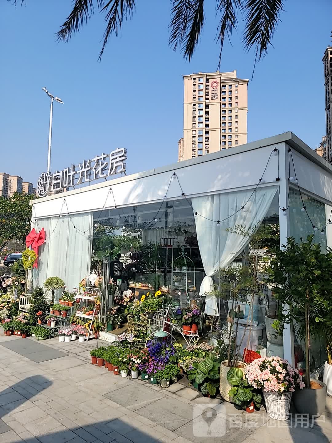 白叶光花房(城东复悦·尚柏奥莱店)