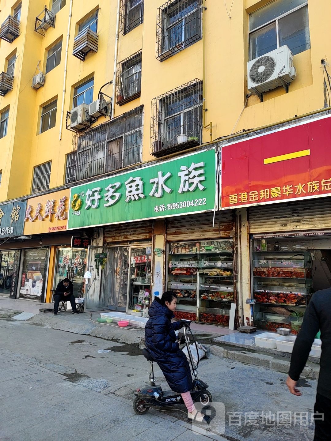 好多鱼水族