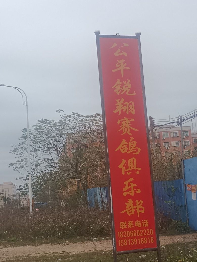 海丰县公平镇锐翔赛鸽俱乐部