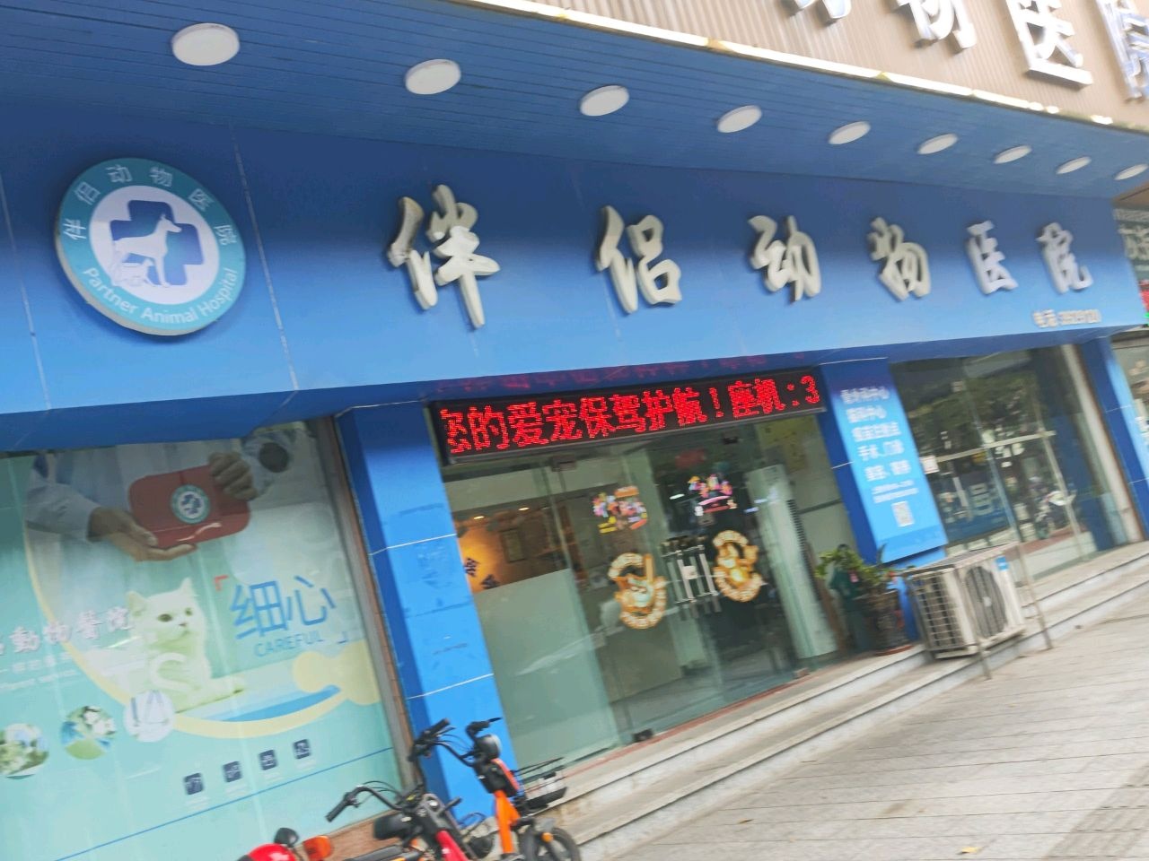 伴侣动物诊所