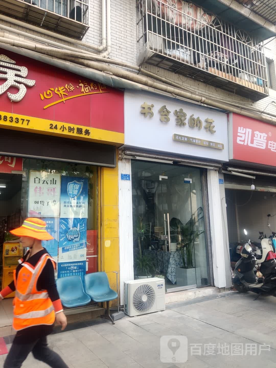 书含家的花