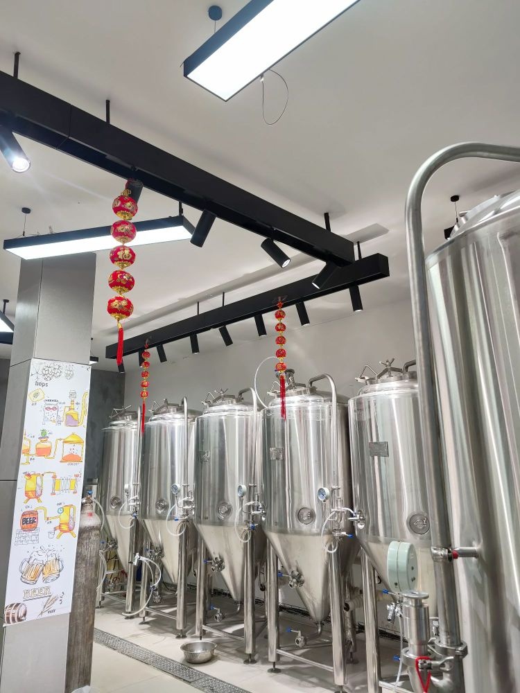 淮阳区理想世界·精酿啤酒(康乐路店)