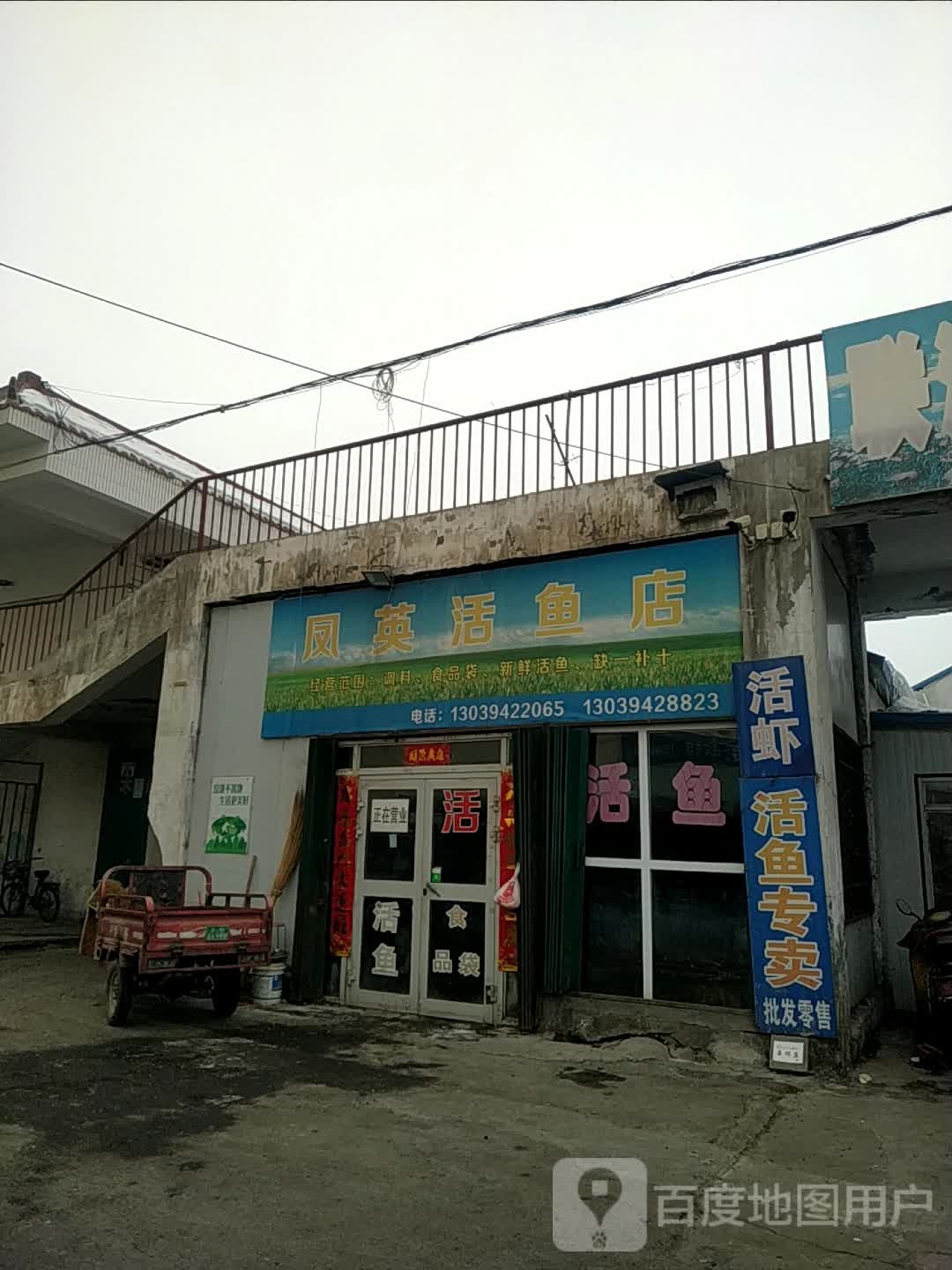 凤英活鱼店