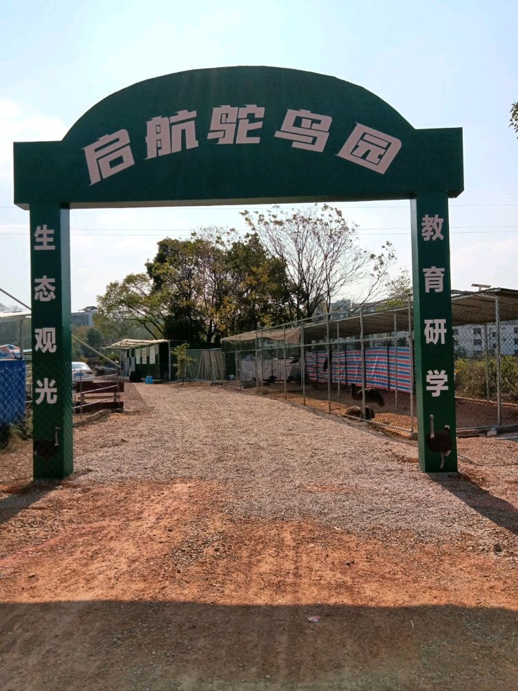 启航鸵鸟园