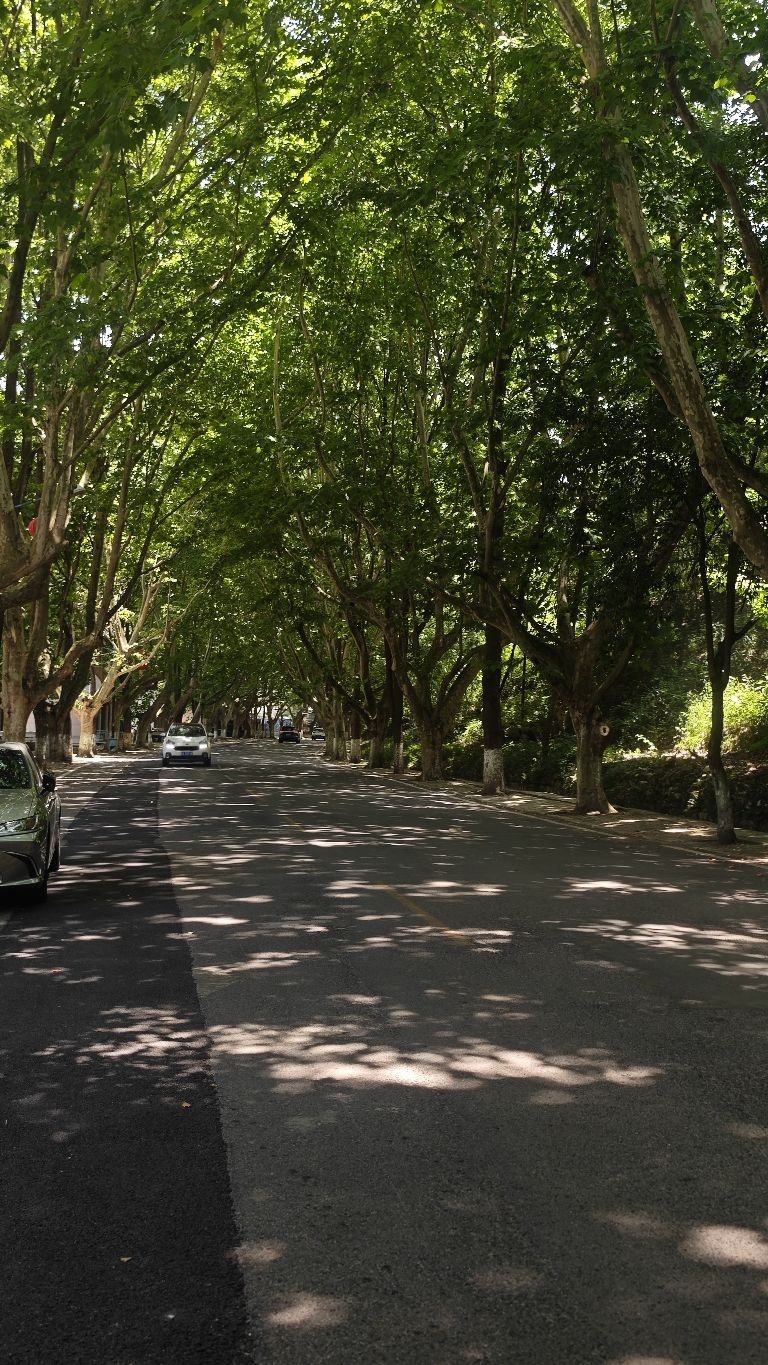 平坝清真鹅肉馆